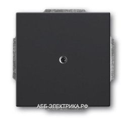 ABB BJE Solo/Future Антрацит Заглушка (1710-0-3612